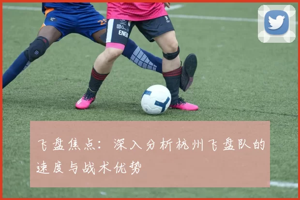 飞盘焦点：深入分析杭州飞盘队的速度与战术优势
