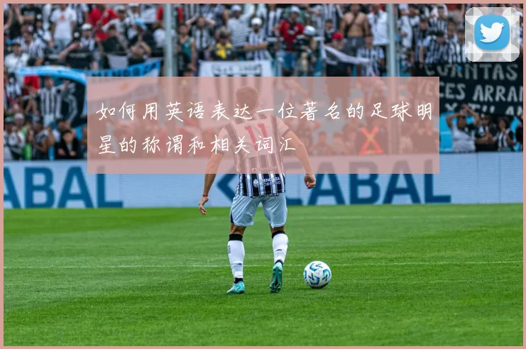 如何用英语表达一位著名的足球明星的称谓和相关词汇