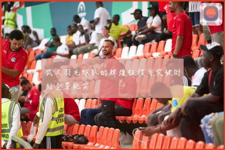 武汉羽毛球队的辉煌征程与突破时刻全景纪实