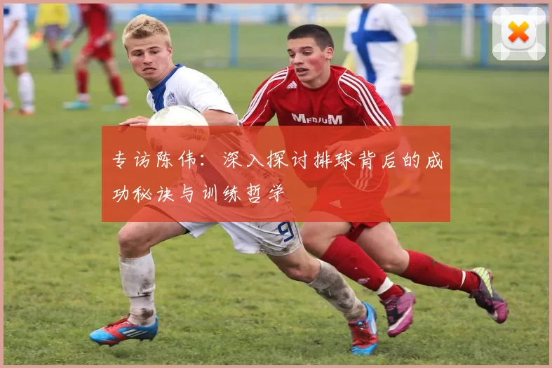 专访陈伟：深入探讨排球背后的成功秘诀与训练哲学