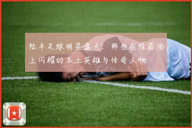 陆丰足球明星盘点：那些在绿茵场上闪耀的本土英雄与传奇人物
