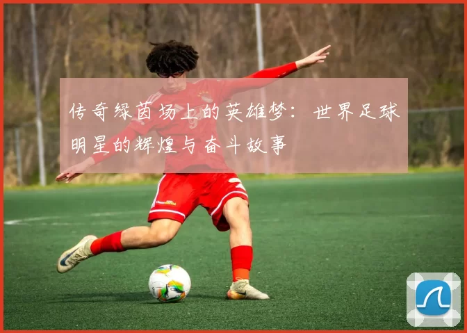 传奇绿茵场上的英雄梦：世界足球明星的辉煌与奋斗故事