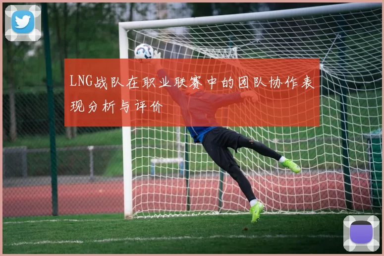 LNG战队在职业联赛中的团队协作表现分析与评价