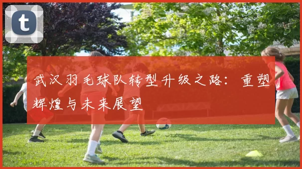 武汉羽毛球队转型升级之路：重塑辉煌与未来展望