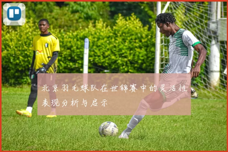 北京羽毛球队在世锦赛中的灵活性表现分析与启示