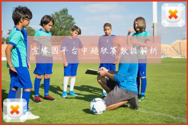 雪缘园平台中超联赛数据解析
